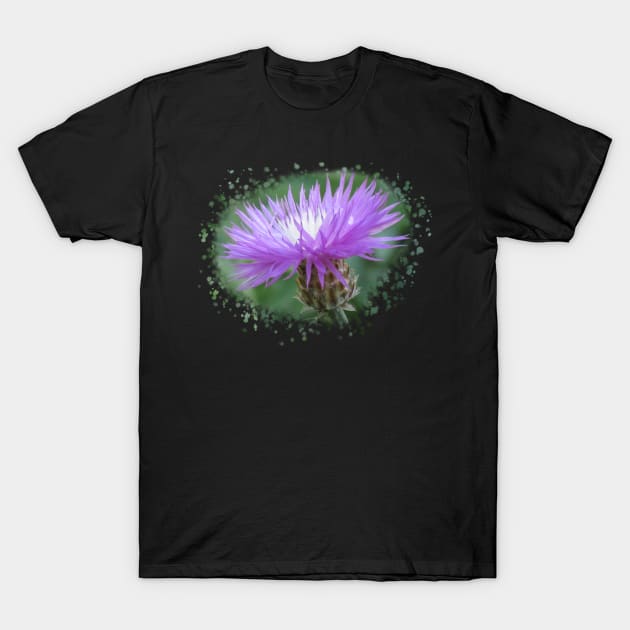 purple flower, blooms, flowers, nature T-Shirt by rh_naturestyles